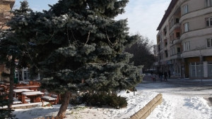 Времето на 2 февруари Температурите малко ще се повишат