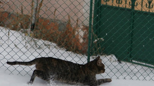 Температурите леко нагоре