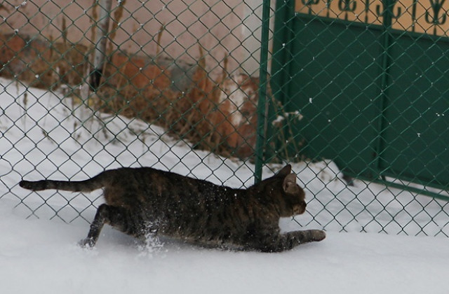 Температурите леко нагоре