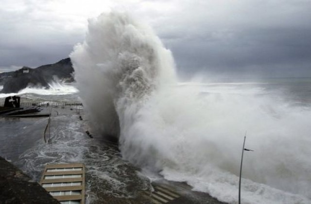10-метрови вълни унищожиха най-голямата експозиция на гигантски калмари в света