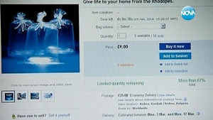 Кърджалиец продава въздух от Родопите в eBay