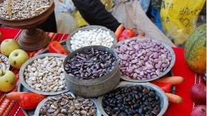 Зеленото сирене и смилянският боб влязоха в Съкровищницата на вкусовете