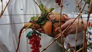 Започват празненствата за Трифон Зарезан