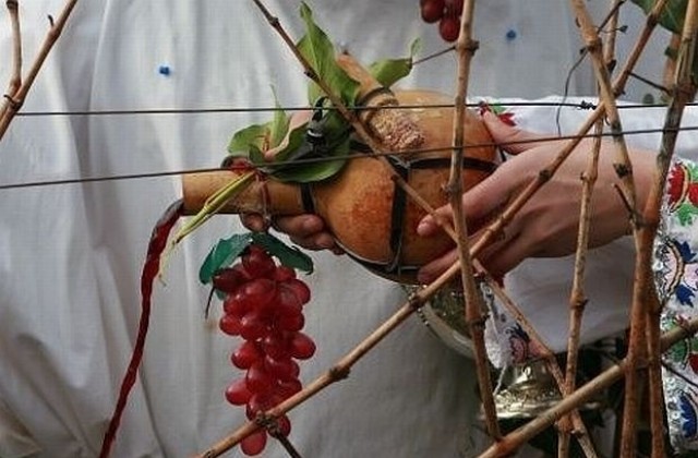 Започват празненствата за Трифон Зарезан