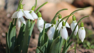 17 градуса ще показват термометрите във Варна днес