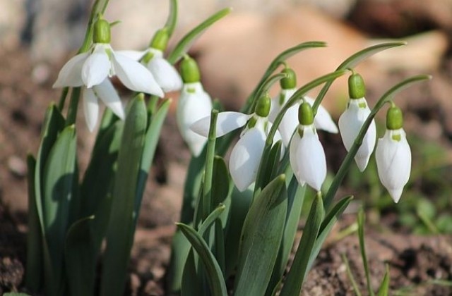 17 градуса ще показват термометрите във Варна днес