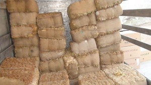 Изкупната кампания за тютюна ще приключи в края на февруари