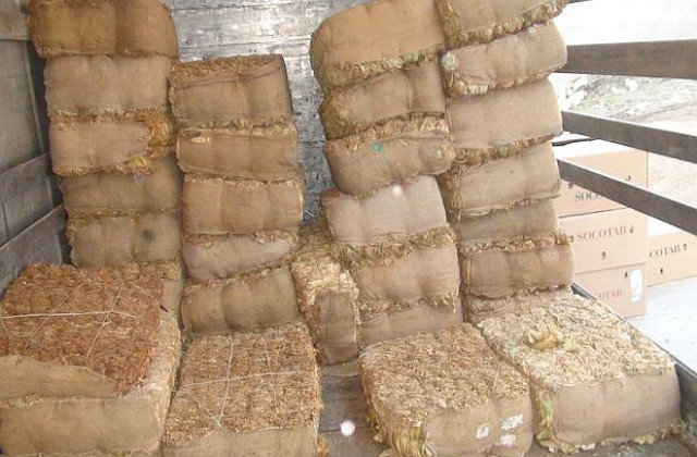 Изкупната кампания за тютюна ще приключи в края на февруари