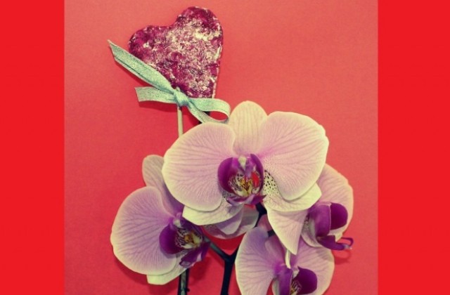 „Любовен кръгоВРЪТ“ ще забавлява опиянените от любов габровци