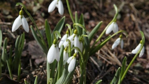 Рекордните 19 4 градуса вчера в Кюстендил