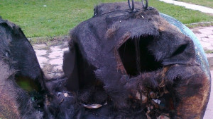 Подпалиха два контейнера в централната част на Кюстендил