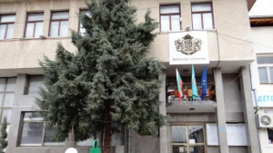 Първи местен референдум в Стрелча