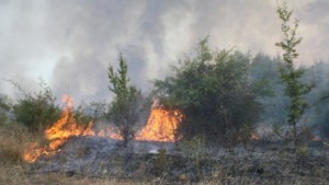 Чистим имотите си с огньове а е забранено