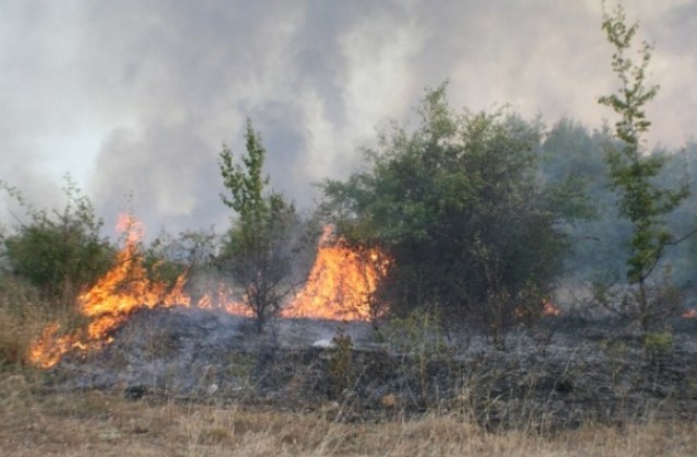 Чистим имотите си с огньове, а е забранено