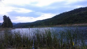 ИАРА обяви забрана за улов на щука и бяла риба