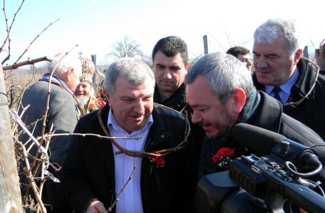 260 млн. лв. дават по новата национална програма за подпомагане на лозаро-винарския сектор