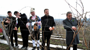 С благослов и червено вино зарязаха лозите край Килифарево