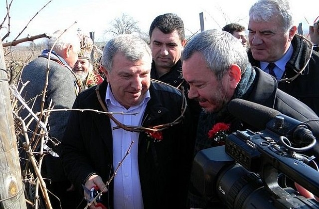 Вливат 260 млн. лева в лозаро-винарския сектор чрез новата програма