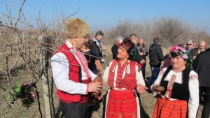 В Пиргово зарязаха любимите лозя на Тодор Живков