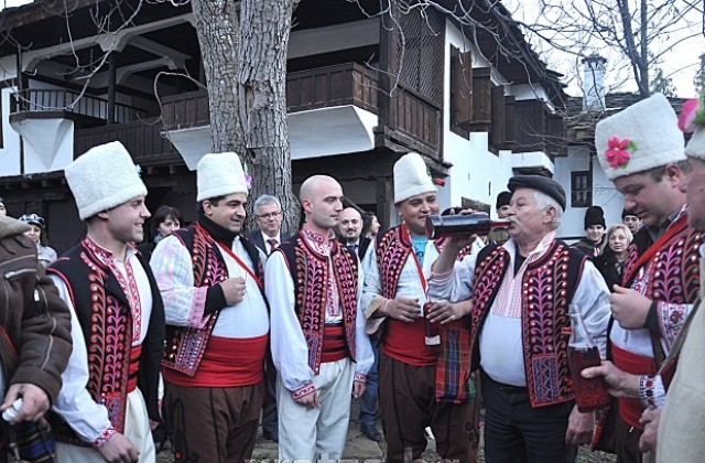 Празник на виното и веселието във Враца