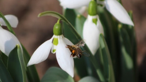 Слънчево и топло