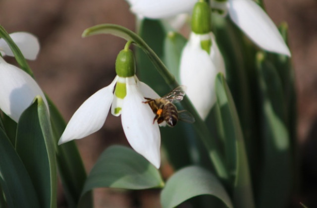 Слънчево и топло