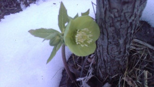 Слънчево и топло време