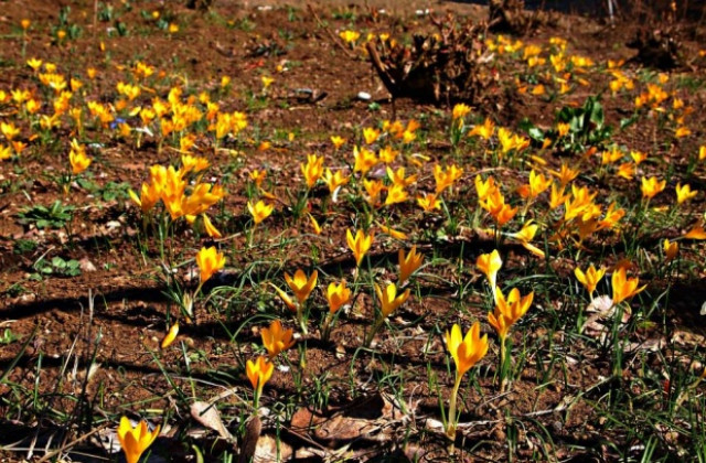 Слънчево, температурите още нагоре