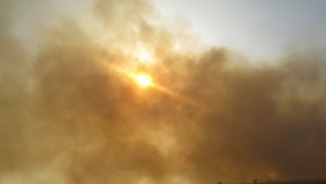 Огнеборците се разкъсаха между близо 10 пожара в кюстендилско