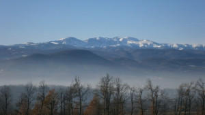 До 21 градуса днес