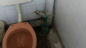 Тоалетни под прицел