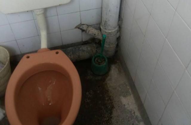 Тоалетни под прицел