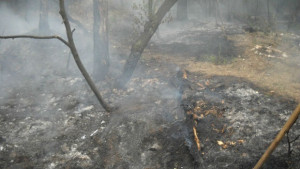 Температурите скочиха и пожарите зачестиха