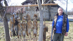 Седем хищника отстреля от сайванта си ловец от Балван