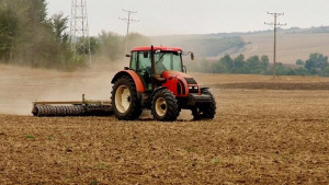 Очакват пониски добиви от зърнени култури
