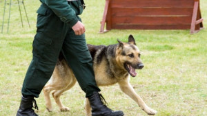 Полицията показва кучеследотърсач на ученици от СОУ Отец Паисий