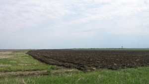 Цената на земята в Северозапада ще расте