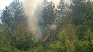 Гасиха пожари в Хисарлъка Николичевци Долистово и Мламолово