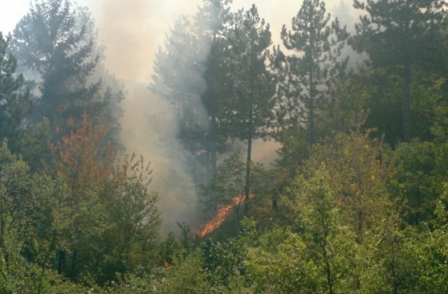 Гасиха пожари в Хисарлъка, Николичевци, Долистово и Мламолово