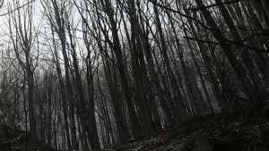 Прогноза за времето на 22 февруари