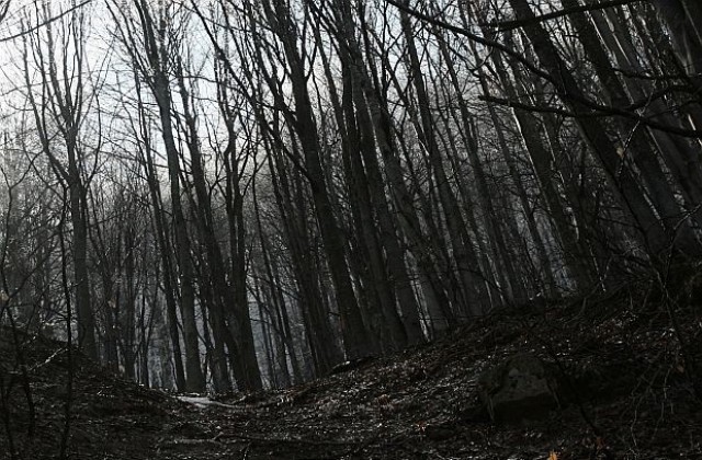 Прогноза за времето на 22 февруари