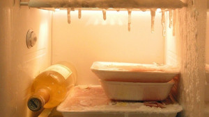 Бум на случаите на болестта на хладилника във Варна