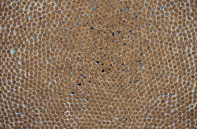 Пушачите все повече предпочитат рязания тютюн пред цигарите