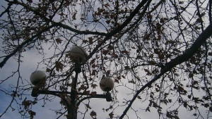 До края на деня спират валежите