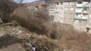 Сметище изкочи изпод храсти до пазара в Дупница