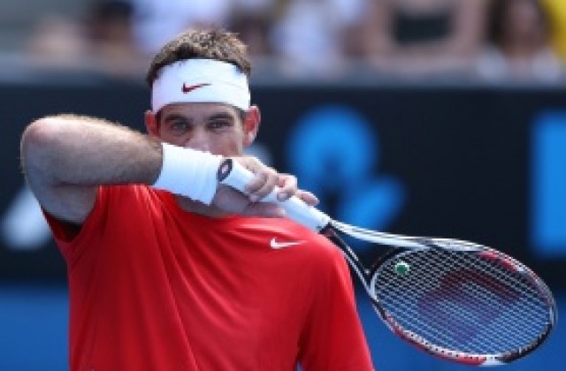 Дел Потро песимист за бъдещето си