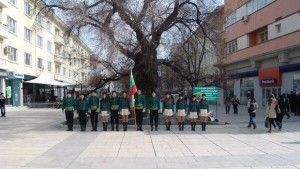Гласуваме за Стария бряст още помалко от два дни