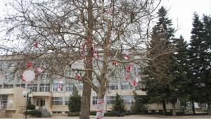 Ученици закичиха с мартеници тошевските общинари