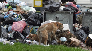 Издадоха решение за финансиране на проекта за изграждане на регионалното