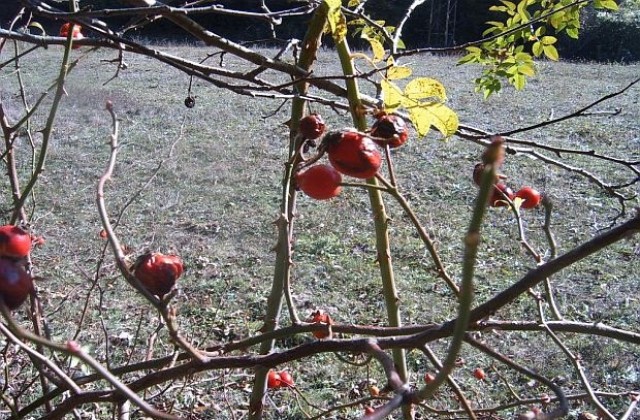 Облачно и дъждовно